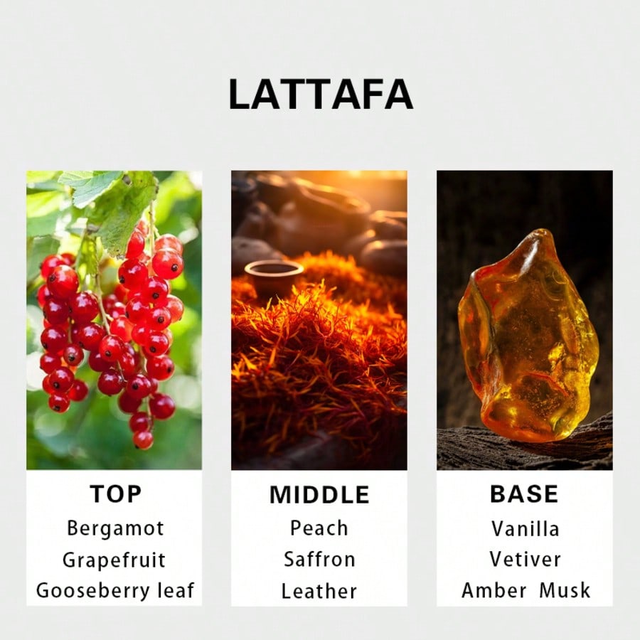 Hayaati Gold Elixir Masculino  - Perfume Fragrance Tous avaliação e preço
