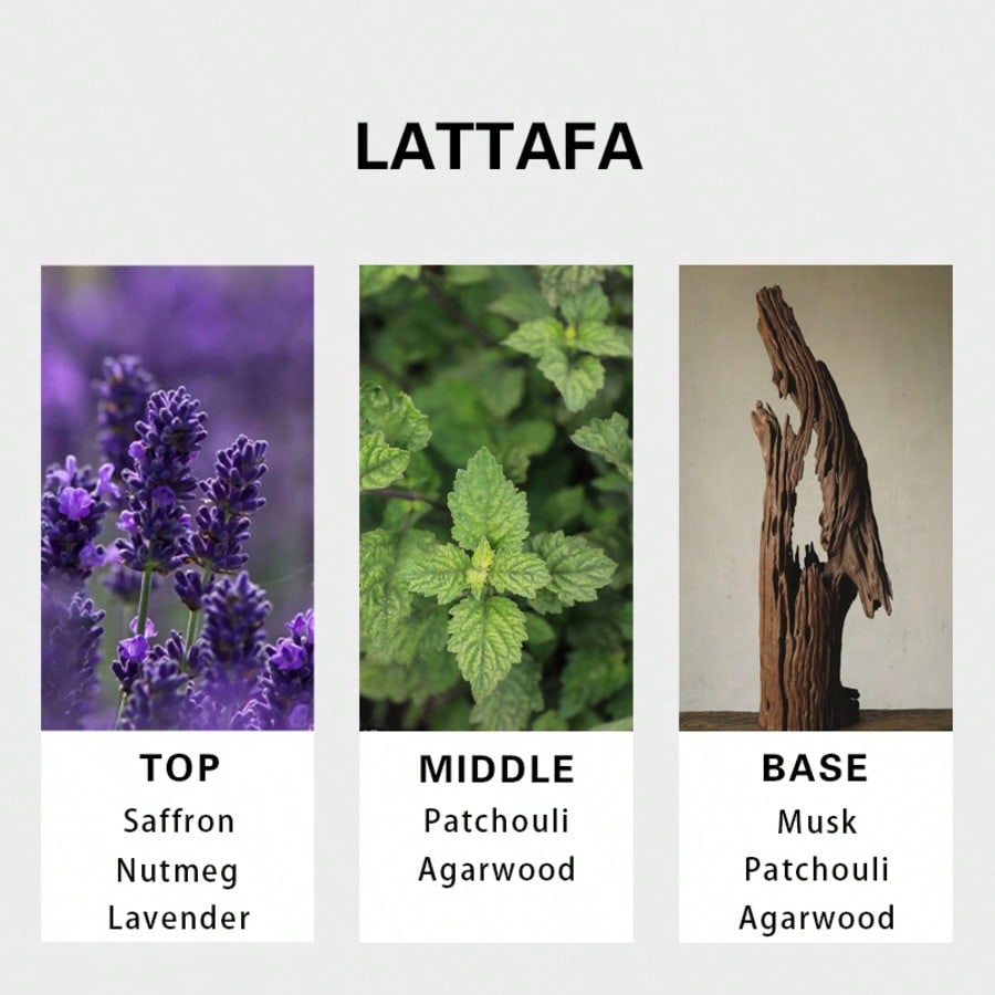 Lattafa Badee Al Oud For Glory - Perfume Fragrance Tous avaliação e preço